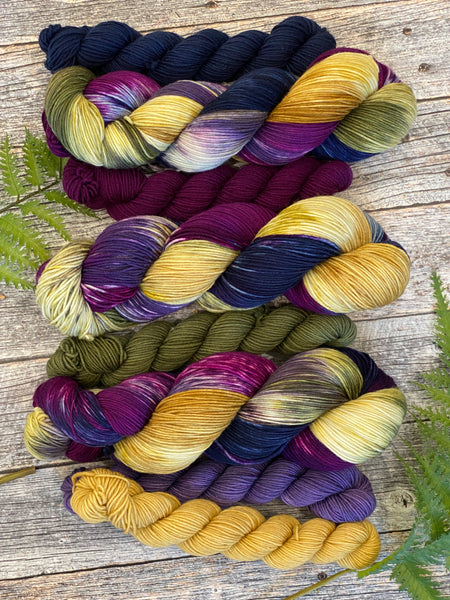 Stella’s Iris